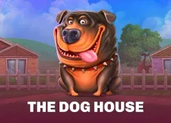 The dog house